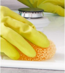 Move In / Move Out Cleaning Services