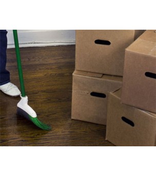 Move IN or OUT Cleaning